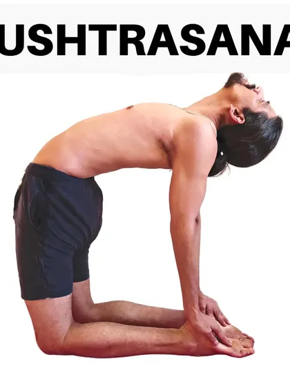 Ushtrasana (Camel Pose) is a deep backbend performed on the knees. It stretches the entire front of the body and is excellent for relieving neck and back pain caused by slouching.