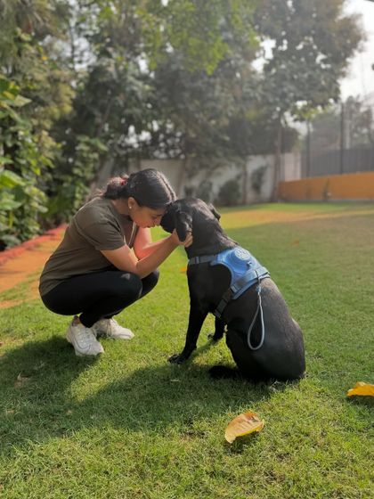 When a dog loves you, the hole in your heart is forever filled. A beautiful moment with a black lab.