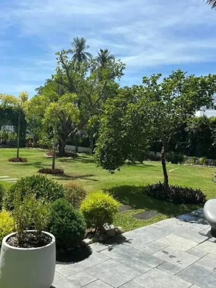 A backyard view showing a stone patio that transitions into a large lawn with several newly planted trees. This landscape is designed to mature and grow with the family.