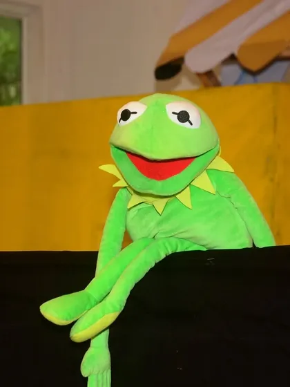 It's not easy being green. This famous frog puppet often makes an appearance to teach us about the environment and why every person matters in keeping our world clean.
