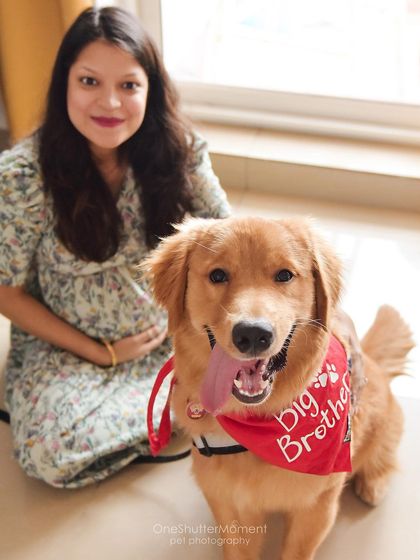 Priyanka - Pet-Inclusive Maternity Photography Quiet Moments & Cuddles photo 8