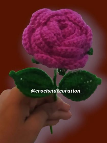 A single, lush pink rose stem.