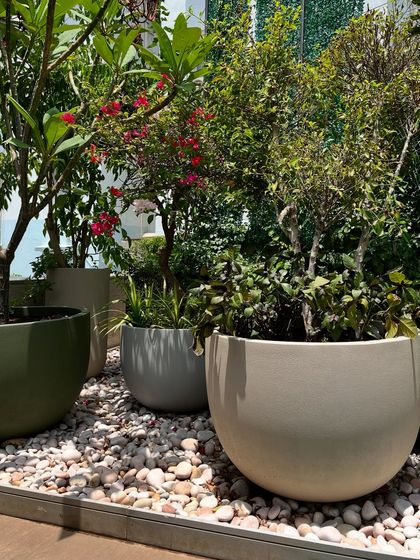 I carefully select pots and planters to complement the overall design. Here, a cluster of modern, rounded pots in muted tones holds a variety of plants, adding texture and form to the terrace garden.