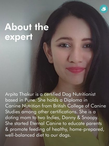 The Pack - Pet Parent Education & Workshops Expert-Led Online Masterclasses photo 29