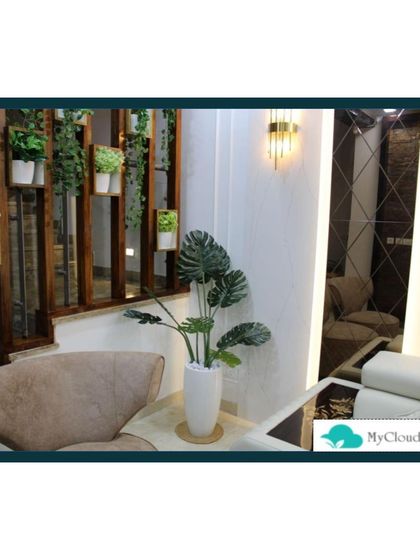 MyCloudforest - Terrace & Balcony Gardening Finishing Touches: Decking, Lighting & Decor photo 5