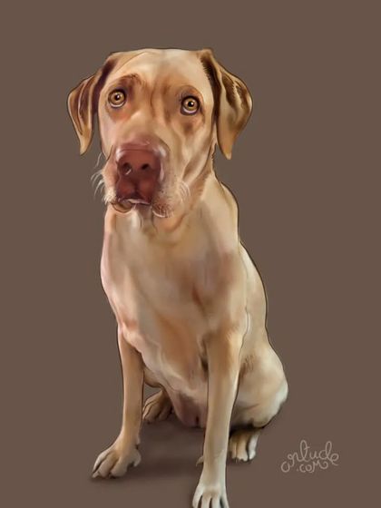 A stunningly realistic digital portrait of a beautiful dog, capturing a soulful expression.