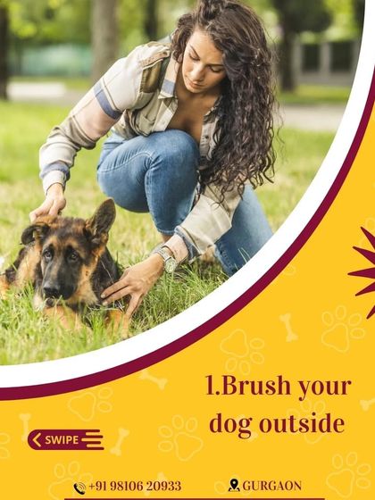 A simple home remedy to manage dog shedding is to brush them outside. This keeps the loose fur out of your home and makes cleanup easier.