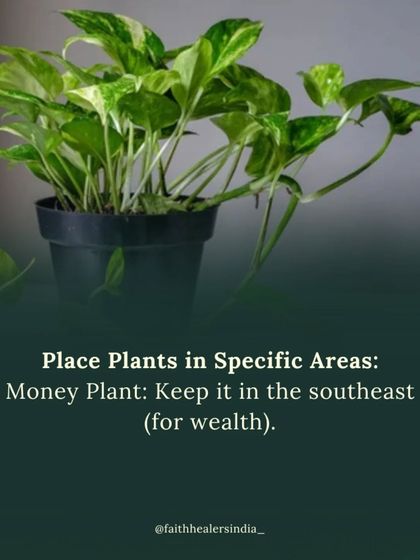 Home Energy & Vastu Cleansing photo 15