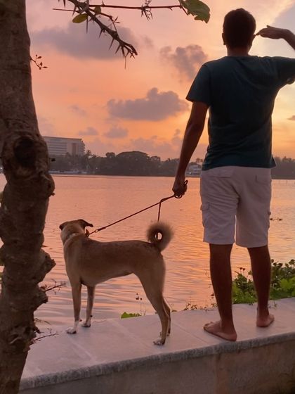Walks are for all times of day, especially for catching a stunning sunset by the water.