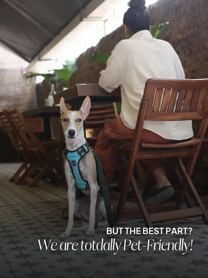 I believe our furry friends are family, which is why Anokhi Garden is a completely pet-friendly space. Bring your companions along to enjoy our serene garden with you.