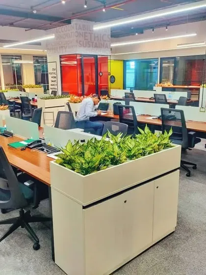 This is how I bring an entire office to life. By integrating low-maintenance plant dividers throughout the workspace, I help improve focus, reduce stress, and create a healthier, more productive environment for the entire team.