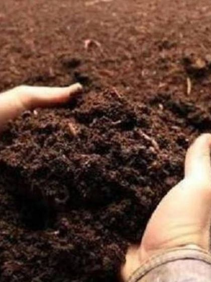 The Garden Hub - Garden Maintenance Soil, Mixes & Plant Care Essentials photo 3