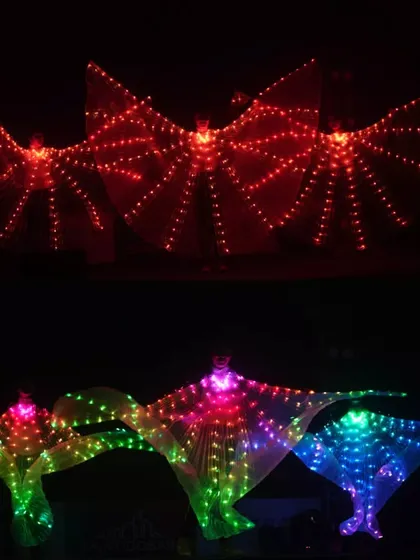 Graceful and glowing. Our LED wing dancers create a beautiful, flowing spectacle of light. We offer performances with different colored wings, including vibrant multicolor and striking solid red.