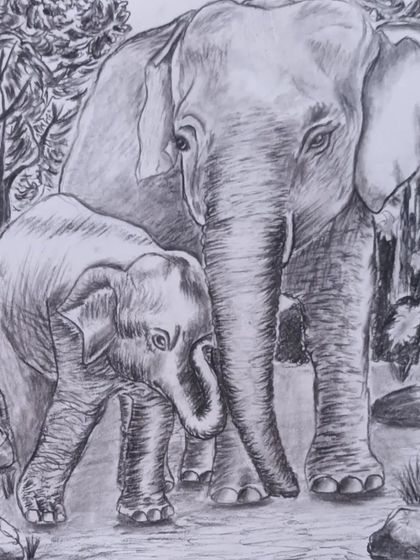 An elephant and its calf, drawn in charcoal by my 11-year-old student Shrey. He did a wonderful job of capturing the texture of the elephants' skin.