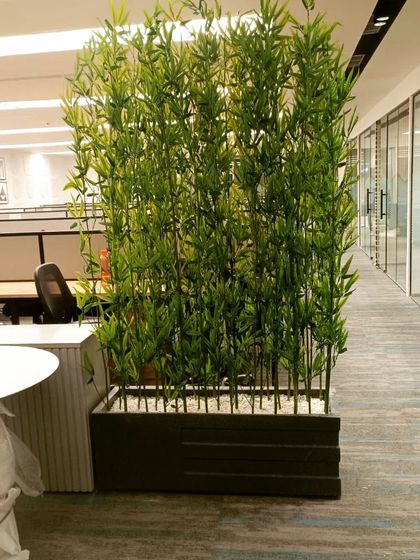 Artificial bamboo planters serve as excellent natural-looking dividers in an office. They provide semi-privacy for cubicles and define walkways while adding a sense of height and tranquility to the space.