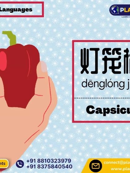 Expand your vocabulary with this card showing the word for 'Capsicum' in Mandarin Chinese (dēnglóng jiāo).