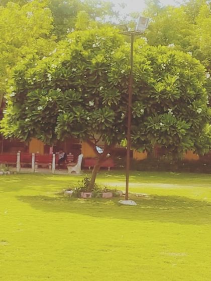 Public Parks & Community Spaces photo 5