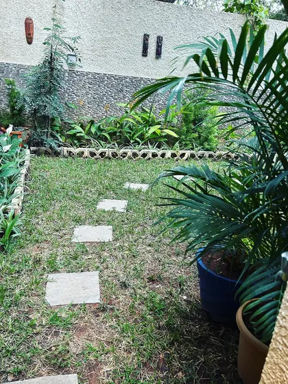 A cozy corner of a backyard with a stepping stone path, diverse plantings, and decorative wall elements.