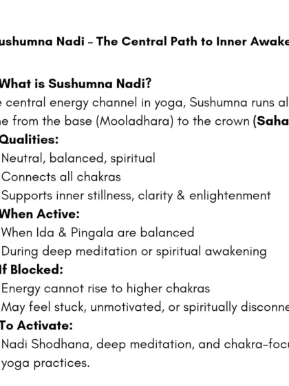 Rohit N - Yoga Teacher Training The Science of Yoga & Ayurveda photo 11