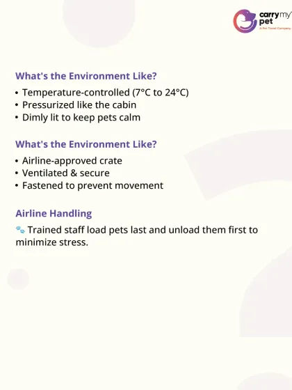 CarryMyPet - Pet Travel & Parenting Consultation Your Pet Travel Questions, Answered photo 27