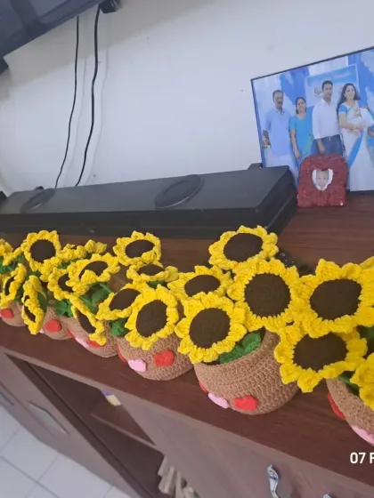 My sunflower pots brightening up a home. They look wonderful lined up on a shelf or mantelpiece, creating a field of sunshine indoors.