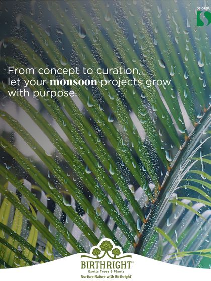 From concept to curation, we help your monsoon projects grow with purpose. The rain brings out the vibrant green of palm fronds, reminding us that this season is an opportunity for growth, not a hurdle.