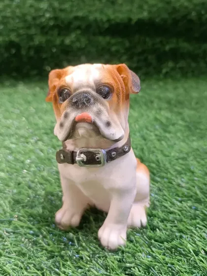 This Bulldog puppy showpiece perfectly captures the breed's unique and lovable look.