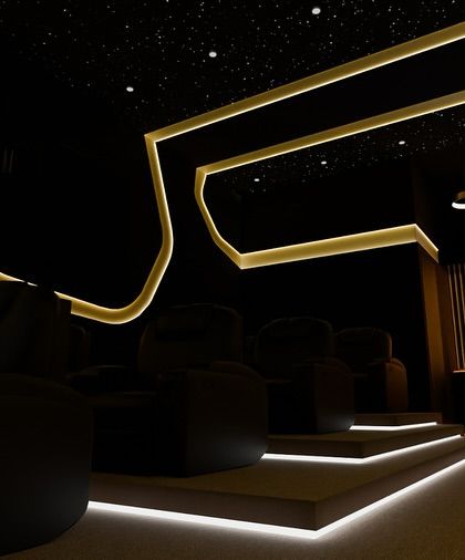 Luxury & Themed Theaters photo 15