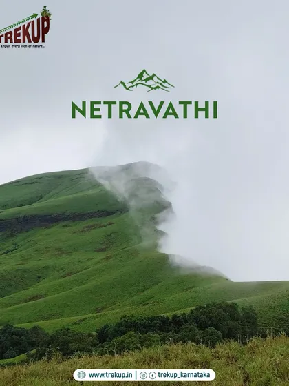 The iconic view of Netravathi peak, where one side is a sharp drop covered in clouds. It feels like walking on the edge of the world.