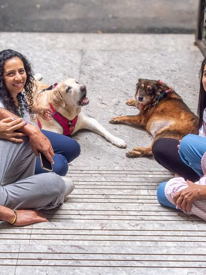 A full family portrait from a "moving out" session, capturing the entire family, including two senior dogs, on the steps of their beloved home.