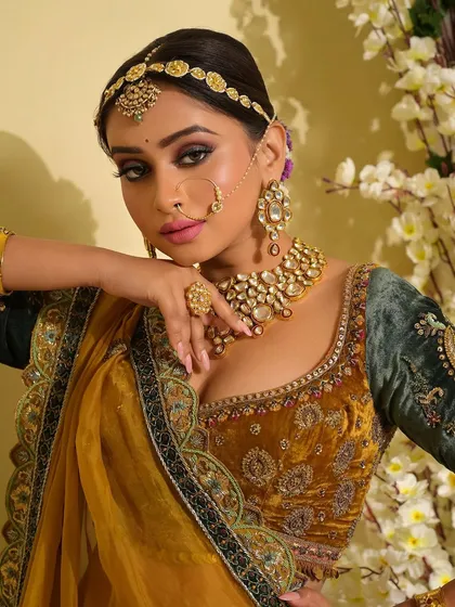 A captivating close-up that draws attention to the eyes. The soft, kohl-rimmed look and defined brows frame the face beautifully, creating a look that is both traditional and alluring.