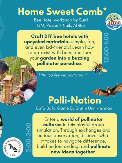 Get hands-on with sustainability at our Buzzzaar. This poster details our kid-friendly bee hotel workshop using upcycled materials and a playful group game that explores the world of pollinator cultures.