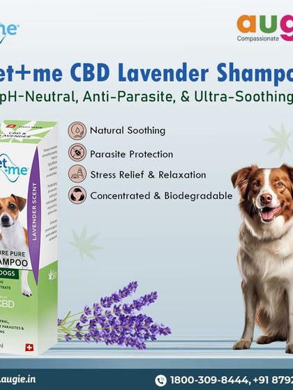 Augie Pets - Pet Grooming Services Shampoos & Conditioners for Every Coat photo 17