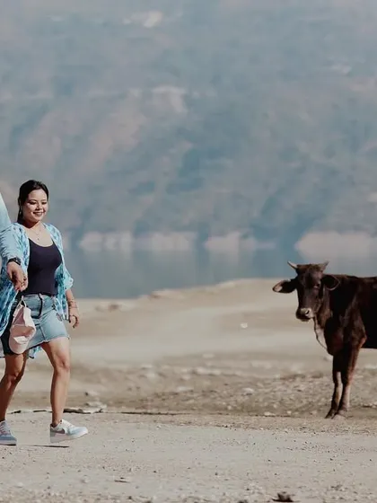 A candid and slightly humorous moment as a couple walks past a cow. These unexpected, real-life moments often make for the most memorable photos.