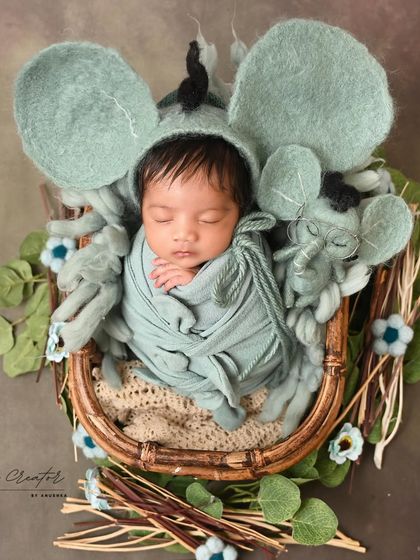A different take on our sweet mouse theme. This image shows the newborn swaddled in a basket, with a matching felt mouse prop for an extra touch of cuteness.