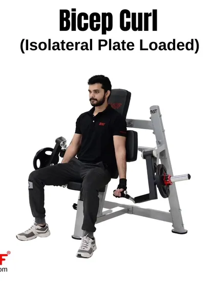 A three-quarter view of a user on the Isolateral Bicep Curl machine.