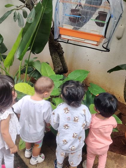 Knowledge Origin - Preschool & Kindergarten Programs Learning Beyond Our Walls: Field Trips & Nature Exploration photo 59