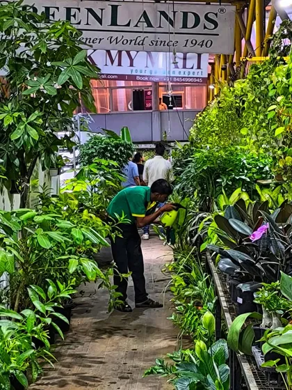 Our team is constantly tending to the plants, ensuring each one is healthy, watered, and looking its best for you.