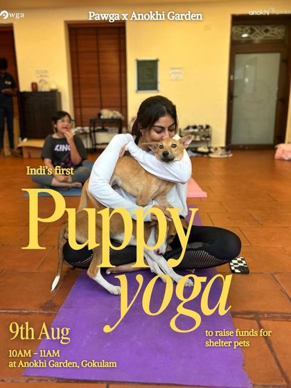 We're bringing India's first puppy yoga experience to Mysuru. This poster captures the pure bliss of a participant getting a hug from a pup mid-pose.