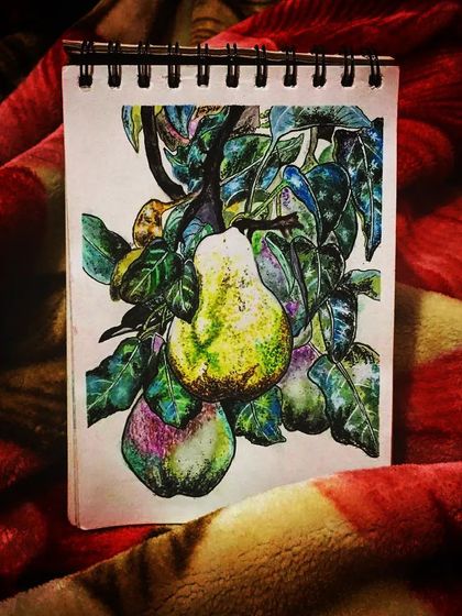 Different views of the finished pear watercolour sketch, showing the details and colours from various angles.