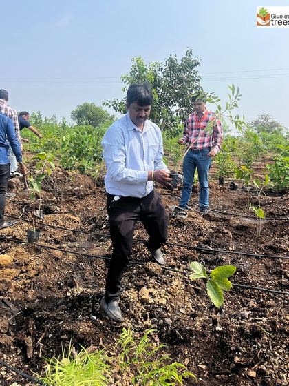 These images showcase individual employees from EXL, Marsh, Amdocs, Telus, HCL, and Northern Trust deeply engaged in the act of planting. Each photo captures a personal moment of connection with nature, showing the focus and care that our corporate volunteers bring to these drives.