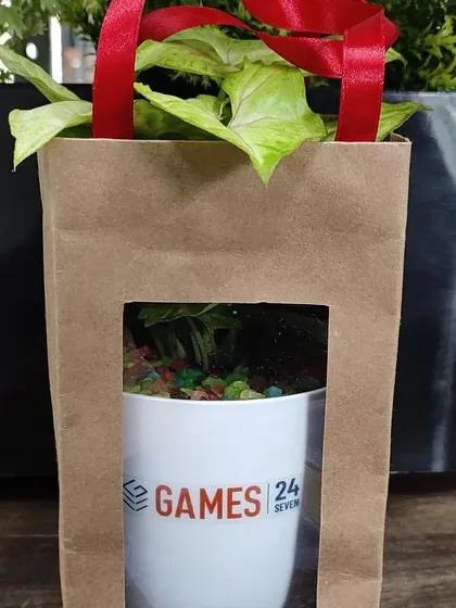 Each corporate gift is thoughtfully packaged. This plant for Games 24x7 is placed in a brown paper bag with a window, showcasing the branded pot and plant inside.