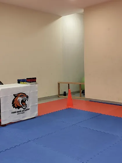 A view of our Dojang prepared for a grading exam. Exams are a way to assess progress, but we teach our students that their true potential is limitless and lies in their daily effort.