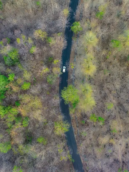 A road through the jungle of Barvi. This top-down shot shows a single car on a winding road surrounded by the dense forest near the Barvi dam.