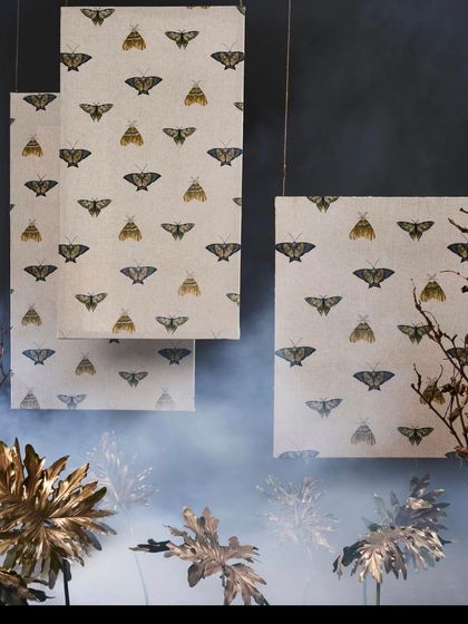 Shiraz Chaand - Commercial Interior & Product Photography Conceptual & Editorial Stories photo 20