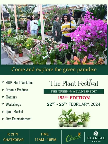 Here’s what you can expect at every edition of The Plant Festival. We bring together over 200 plant varieties, organic produce, unique planters, expert-led workshops, and live entertainment for a complete family day out.