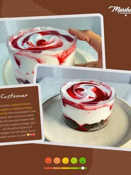 This customer review highlights the perfect balance of my Callebaut Brownie, Raspberry, and Alphonso Mango Crème Tub. It's the ultimate combination of rich chocolate and refreshing fruit.