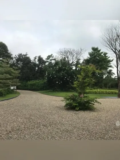 A small tree planted in the center of the driveway acts as a natural traffic island and a sculptural focal point. This detail adds a touch of thoughtful design to a functional space.