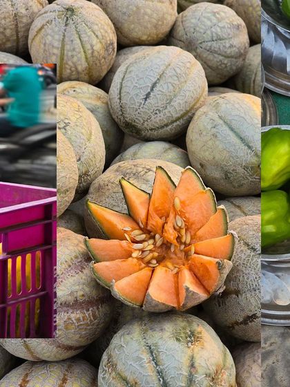 A collage celebrating melons, with a beautifully cut muskmelon as the centerpiece.