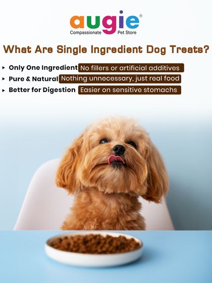 Augie Pets - Pet Supplies Fuel for Happy Hounds: Wholesome Dog Nutrition photo 15